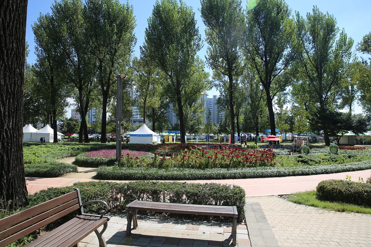 MG0A2312_новый размер.JPG