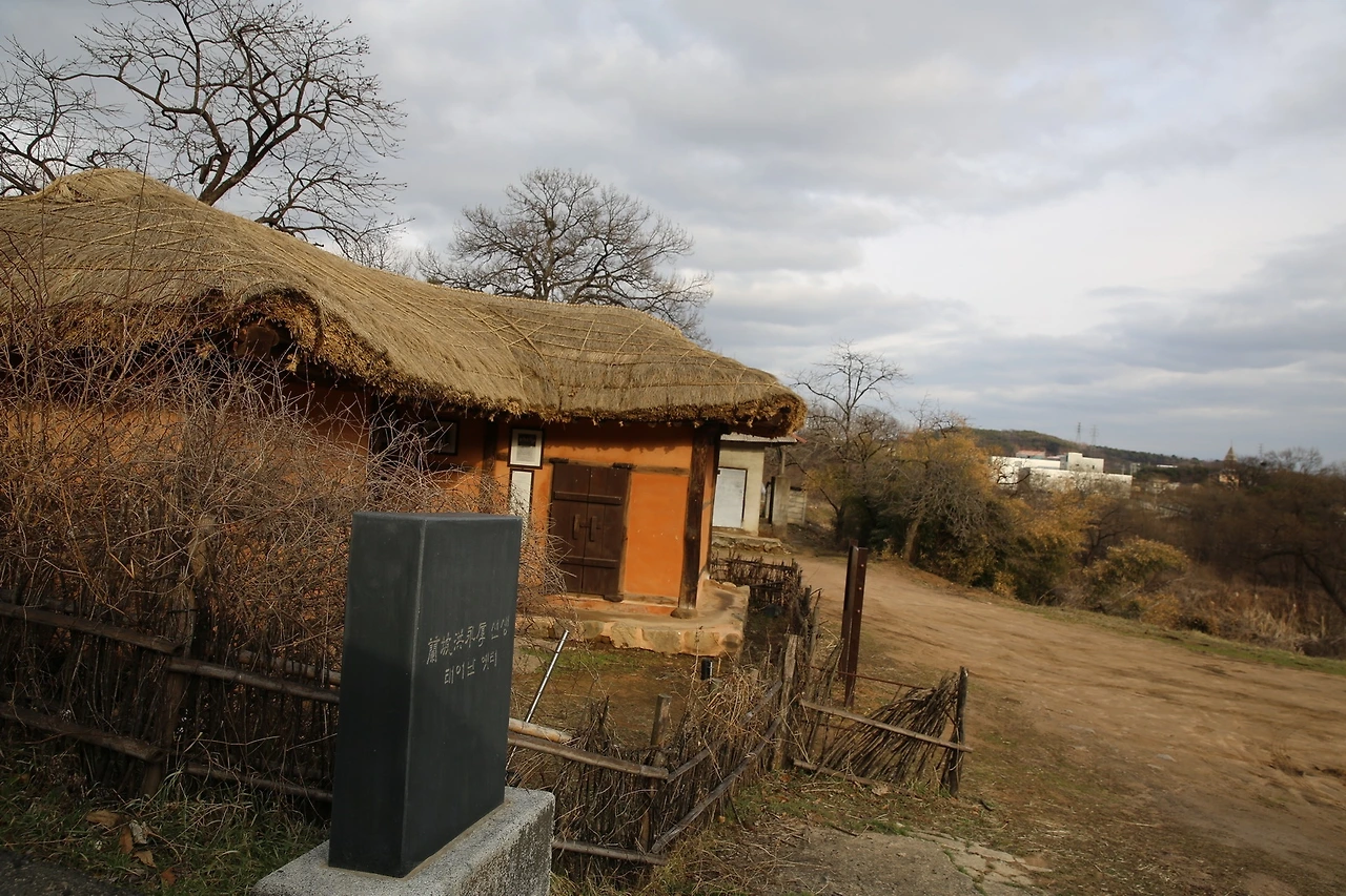 MG0A1381_новый размер.JPG