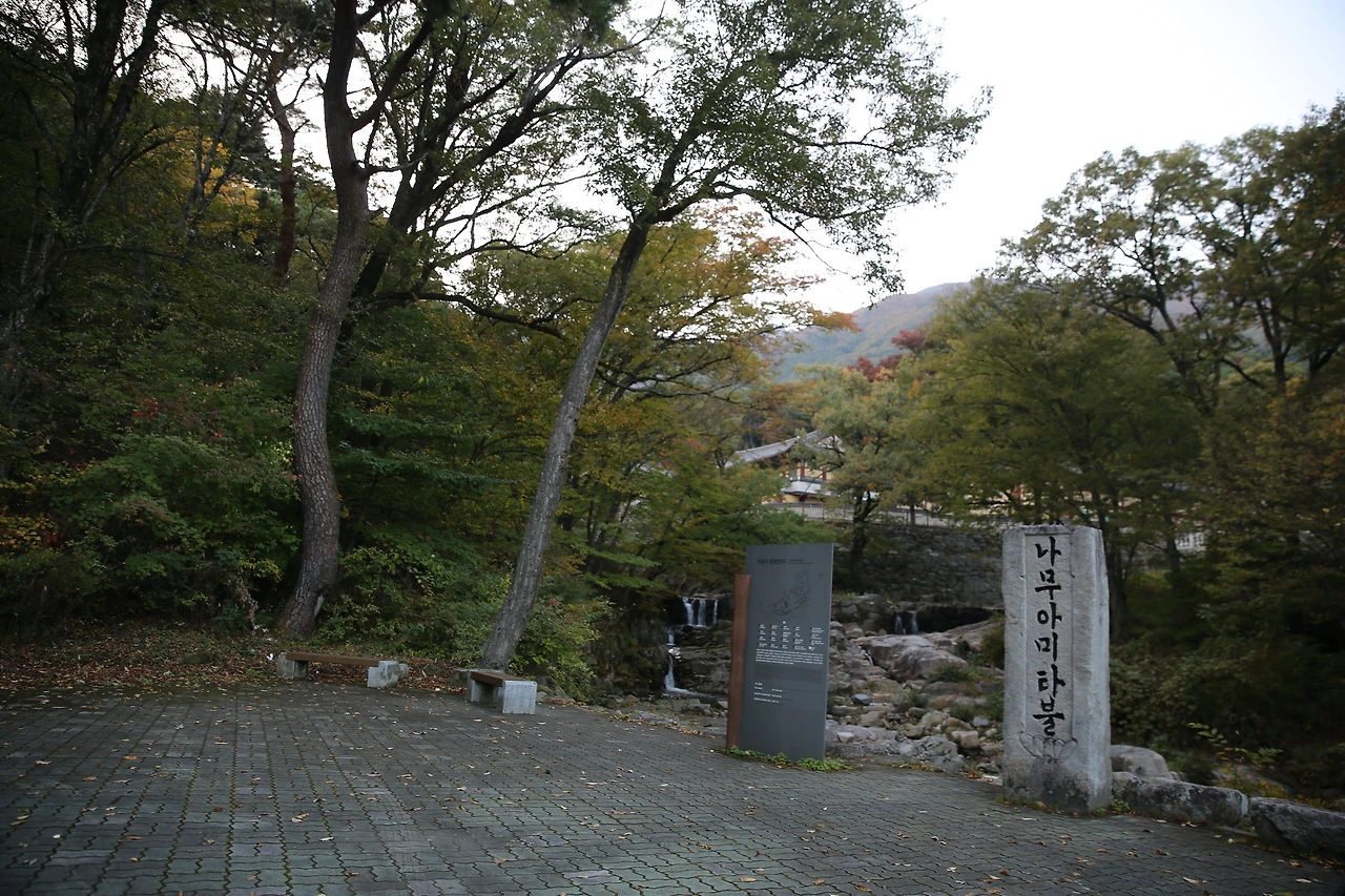 MG0A8353_новый размер.JPG