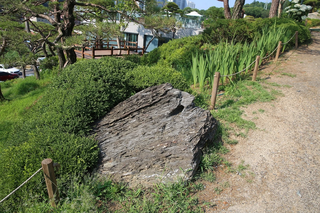 MG0A3100_новый размер.JPG