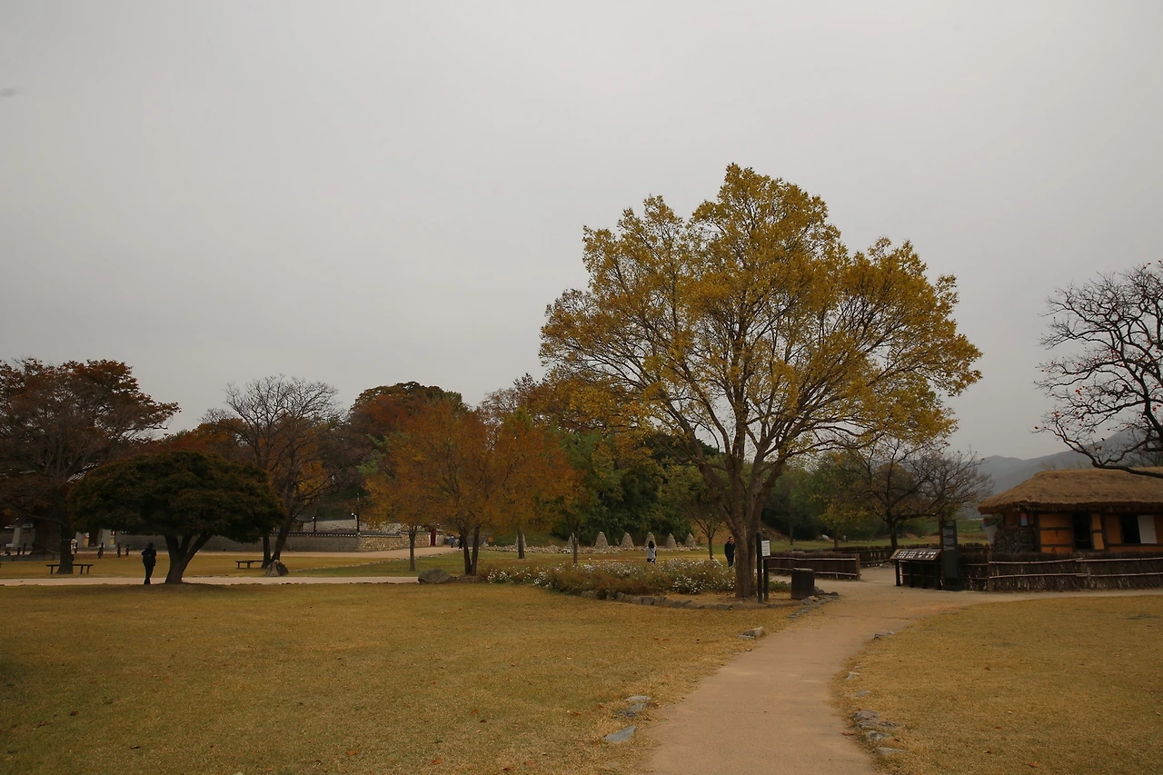 MG0A9587_новый размер.JPG