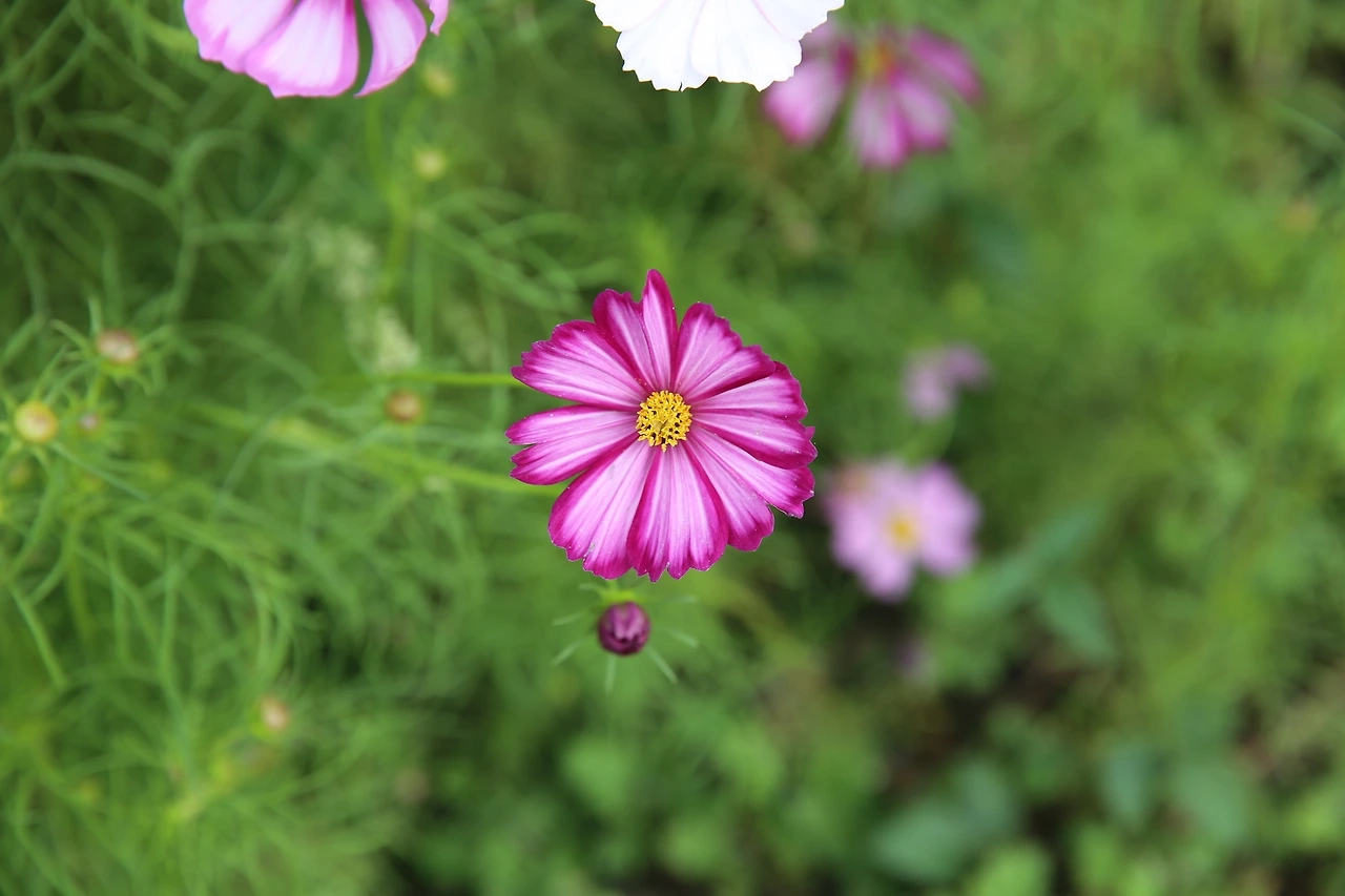 MG0A3488_новый размер.JPG