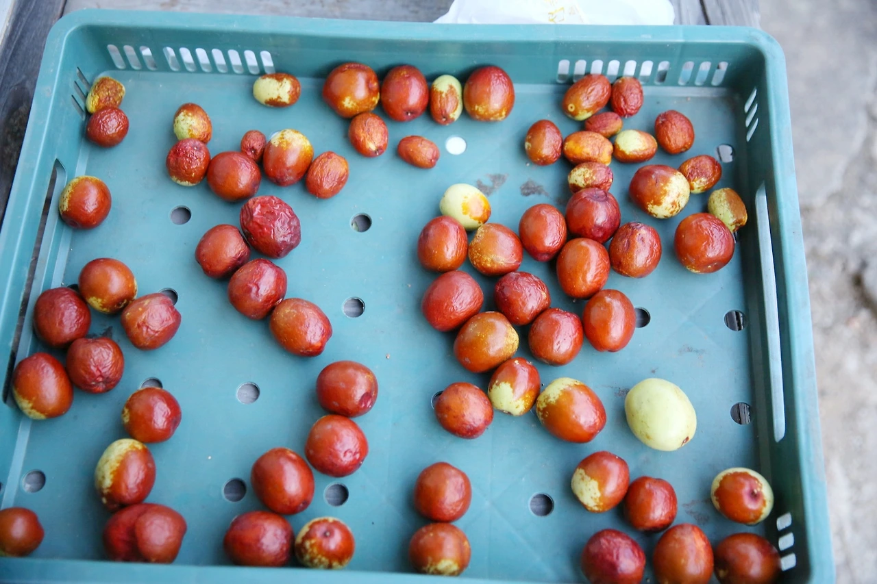 MG0A7016_новый размер_exposure.JPG