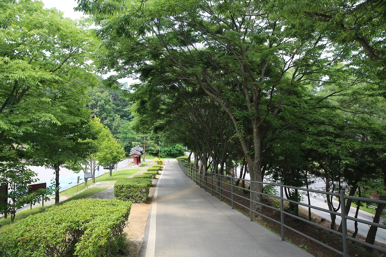 MG0A2149_новый размер.JPG