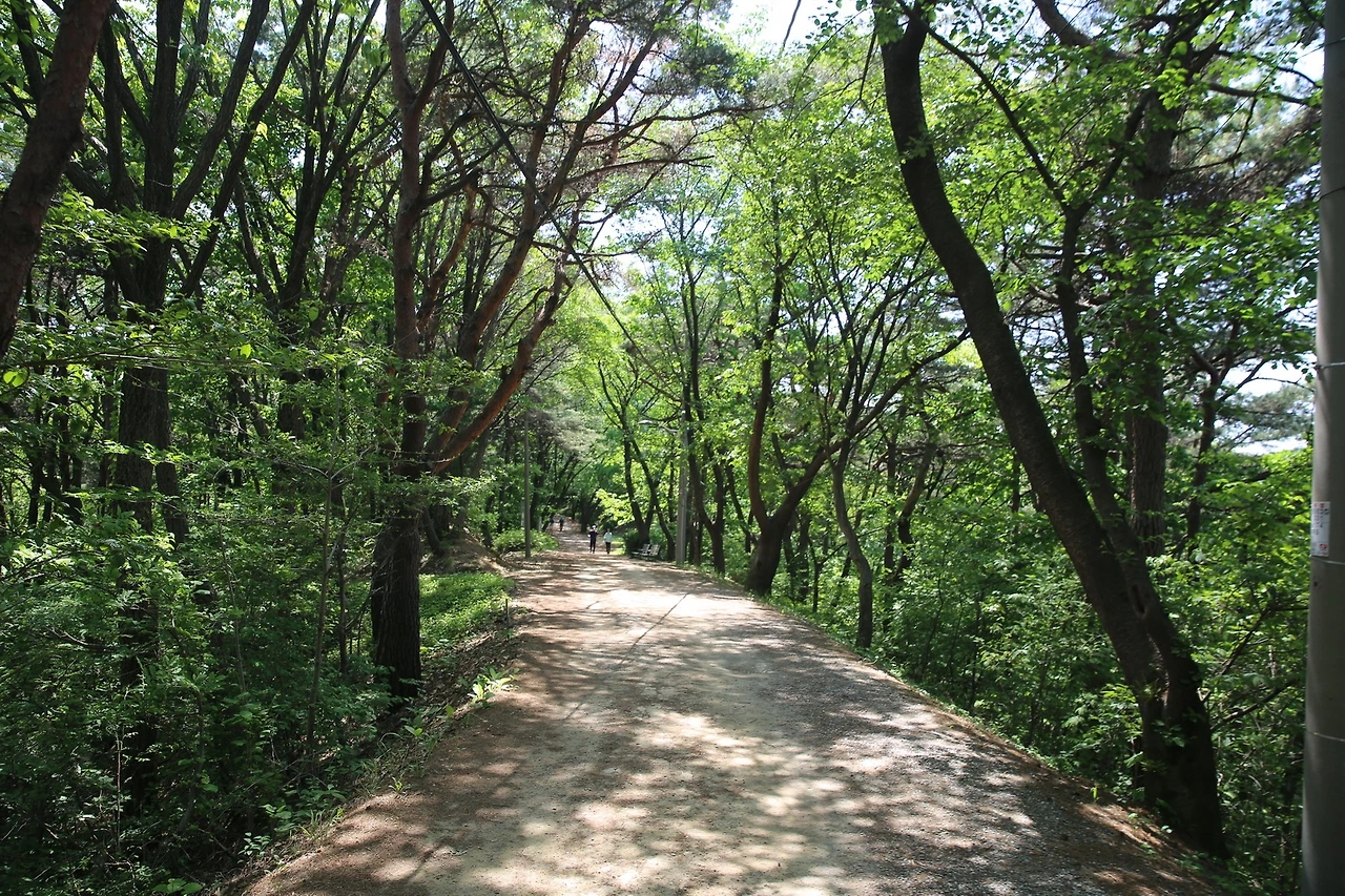 MG0A2577_новый размер.JPG