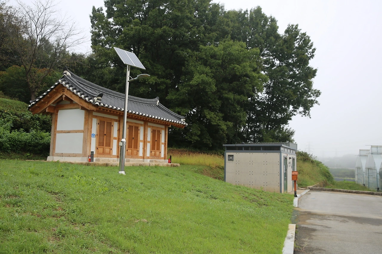 MG0A3552_новый размер.JPG