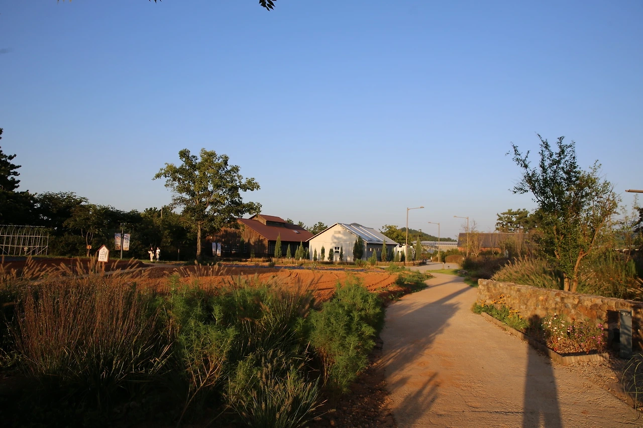 MG0A1399_новый размер.JPG