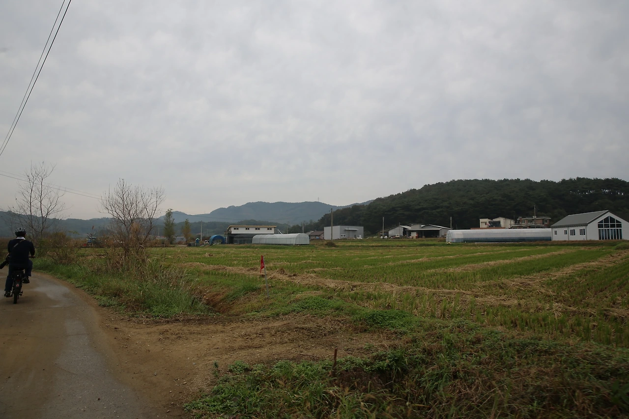 MG0A8775_новый размер.JPG