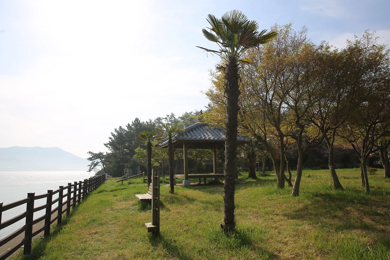 MG0A8988_новый размер.JPG