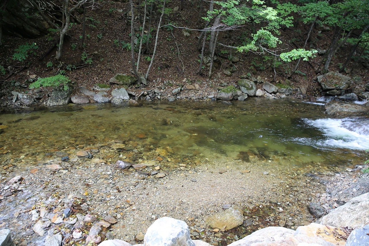 MG0A3938_новый размер.JPG