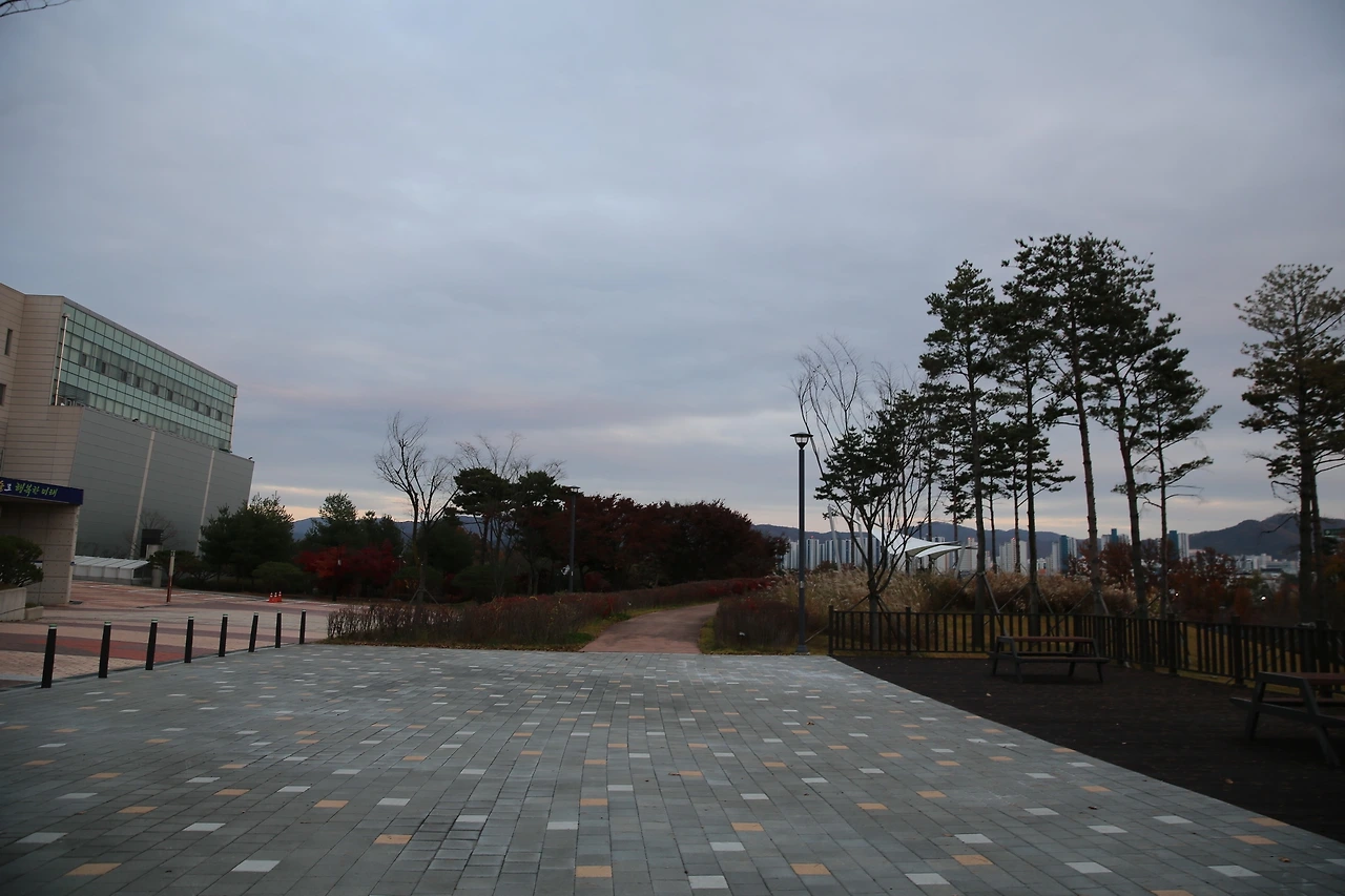 MG0A0993_новый размер.JPG