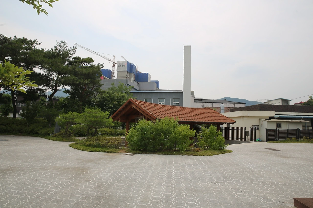 MG0A2431_новый размер.JPG