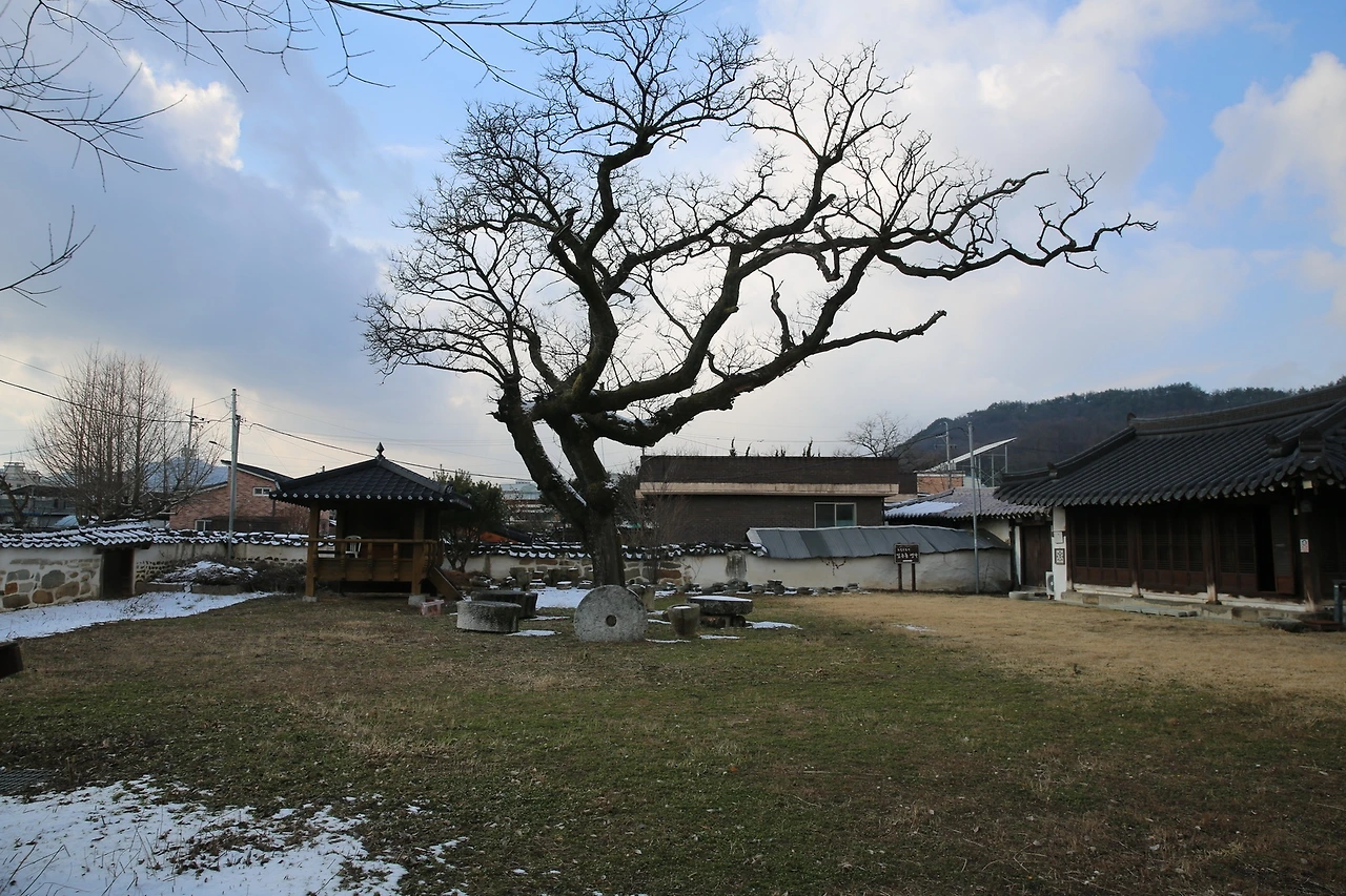 MG0A5244_новый размер.JPG