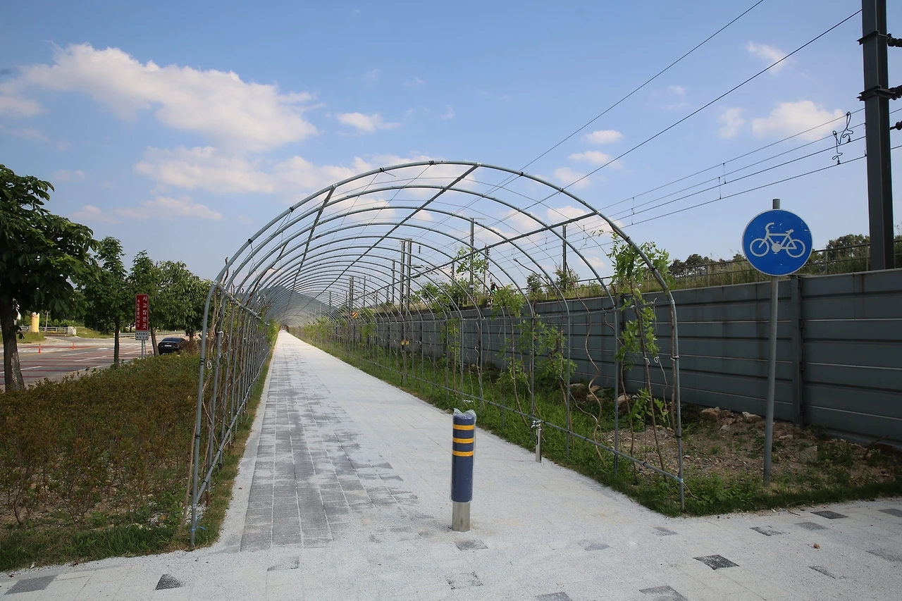 MG0A1614_новый размер.JPG