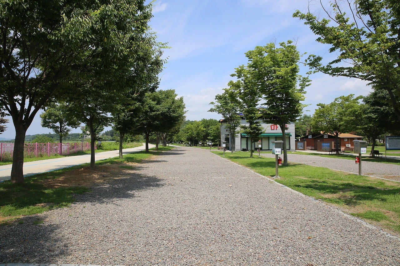 MG0A4503_новый размер.JPG