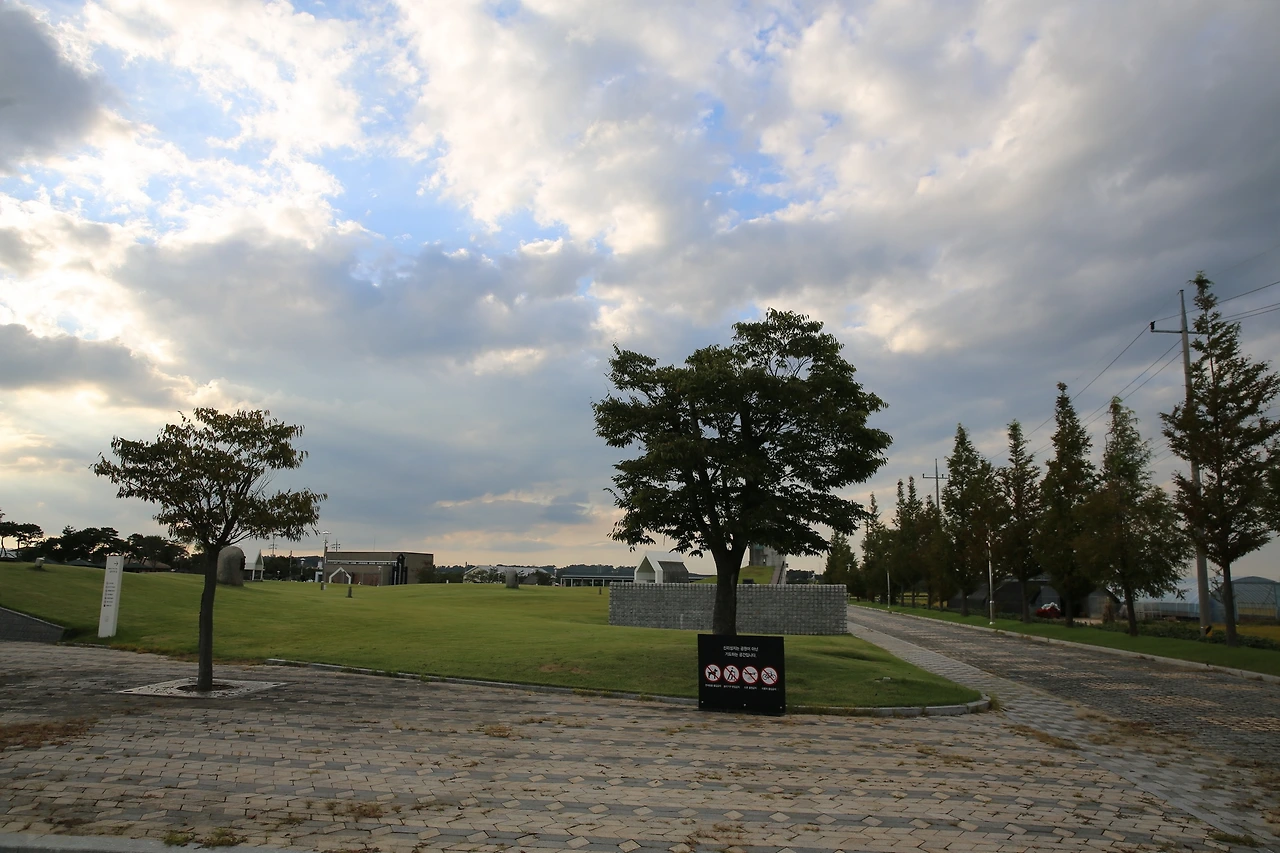 MG0A1869_новый размер.JPG