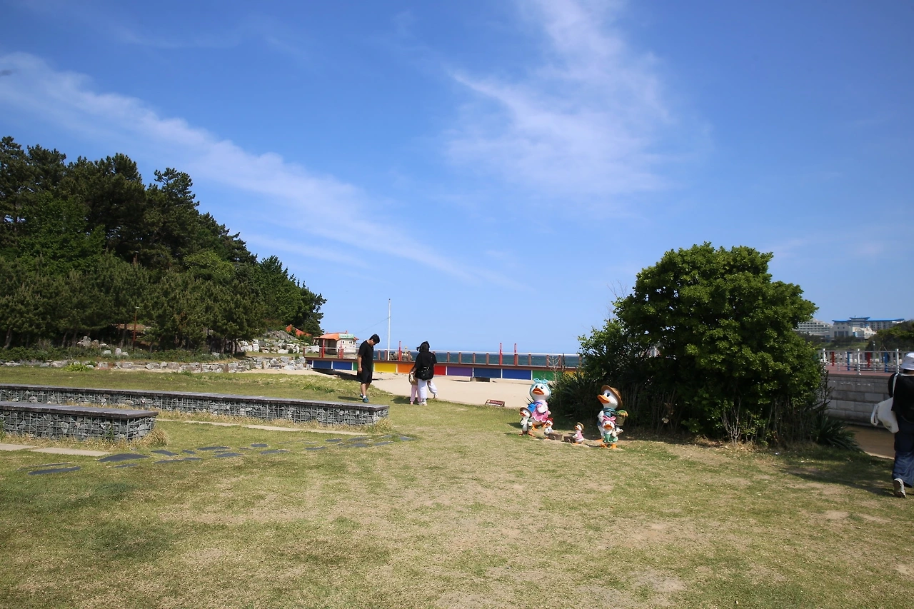 MG0A0475_новый размер.JPG