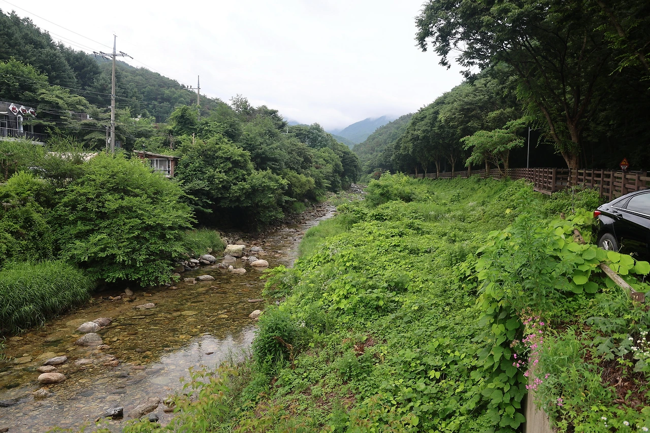 0R5A7581_новый размер.JPG