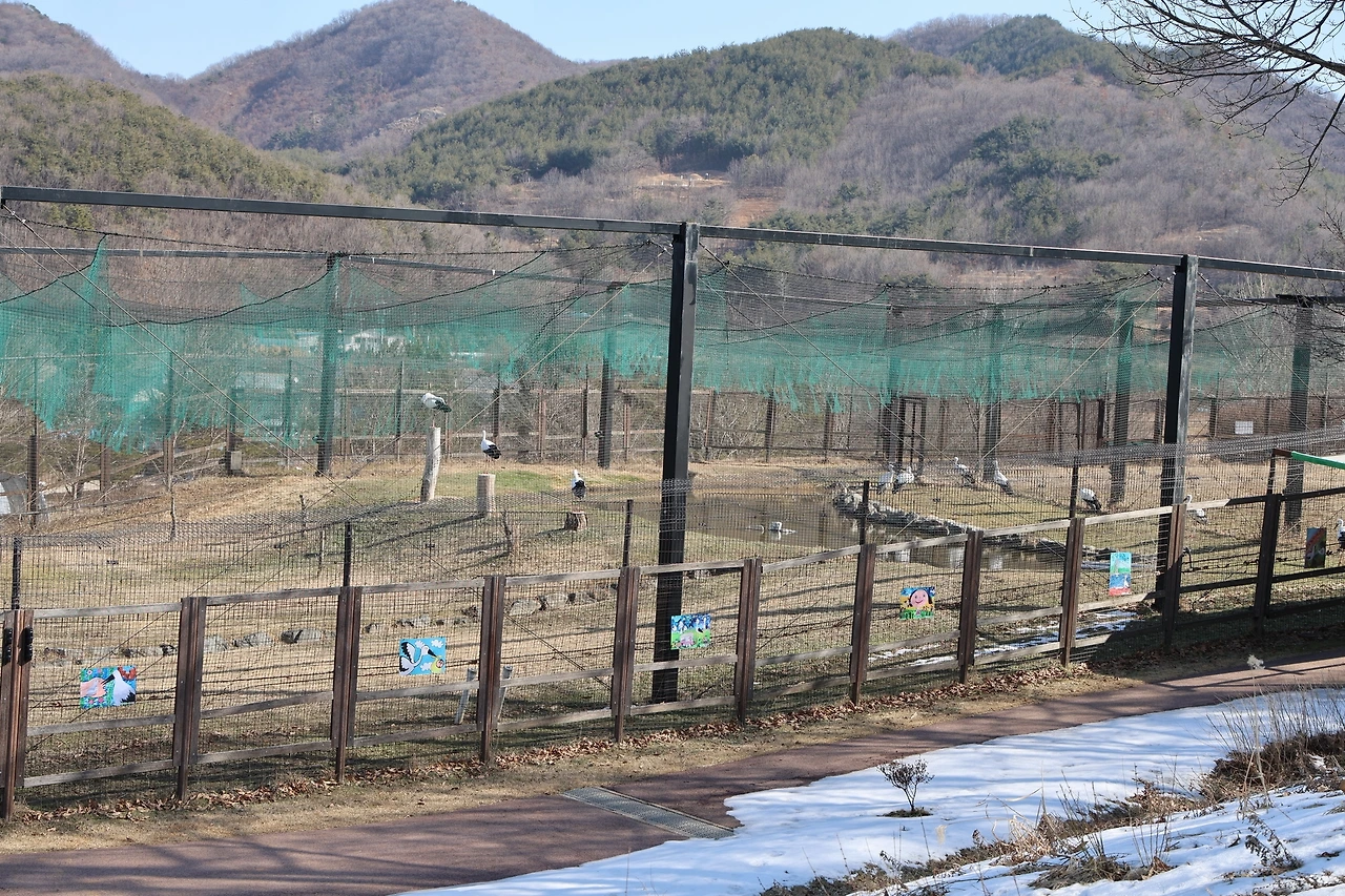 0R5A9719_новый размер.JPG