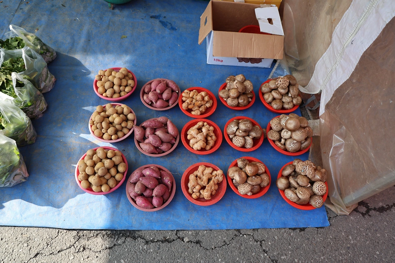 0R5A7561_новый размер.JPG