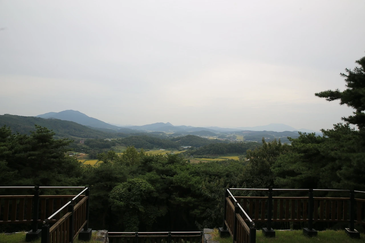 MG0A5154_новый размер.JPG