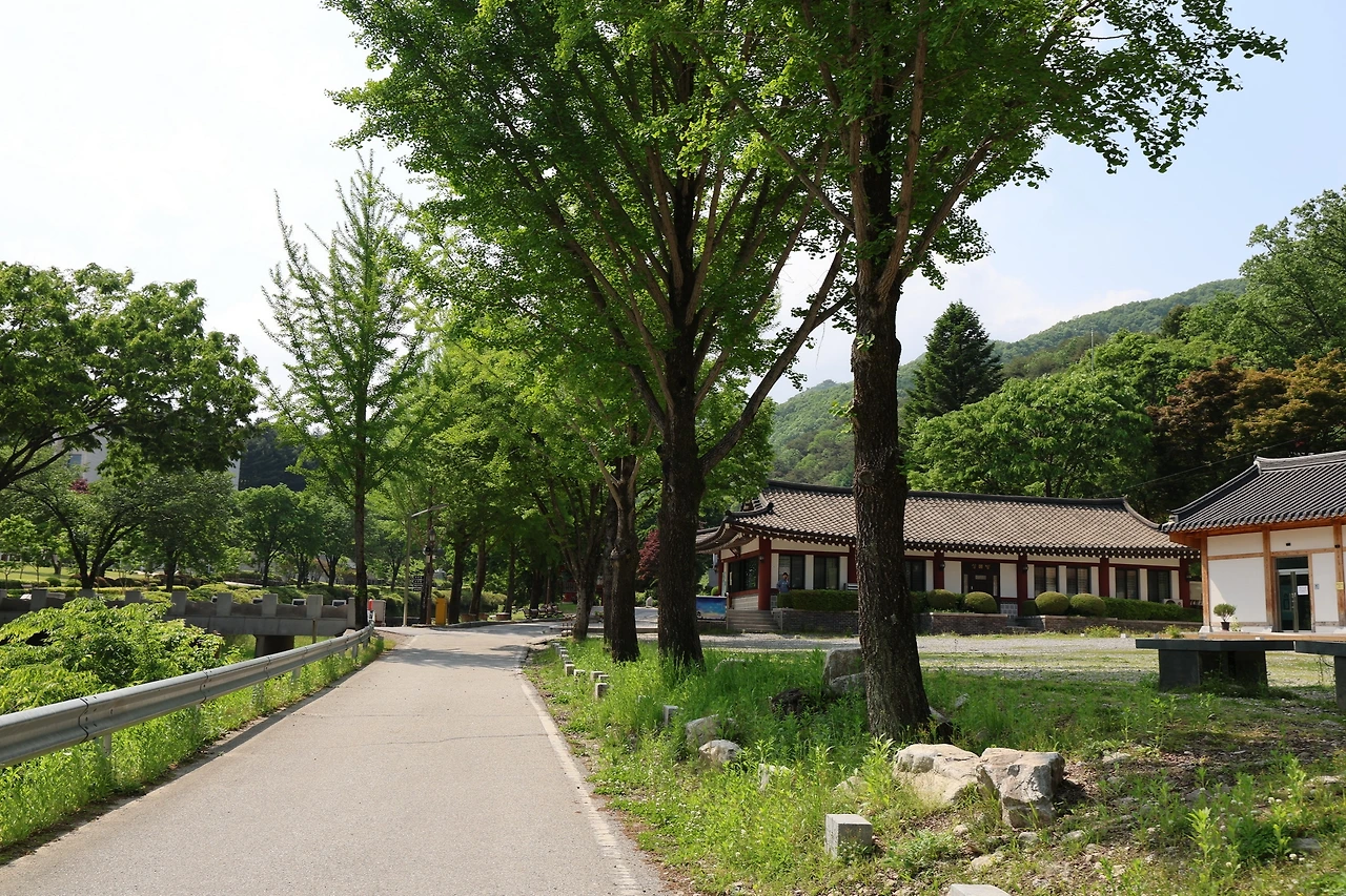 0R5A1470_новый размер.JPG