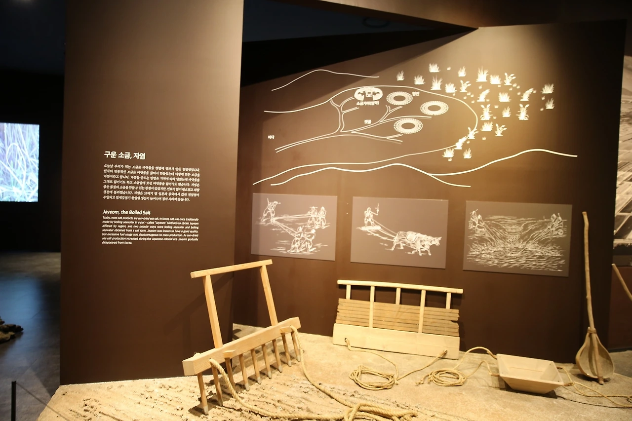 MG0A5583_новый размер.JPG