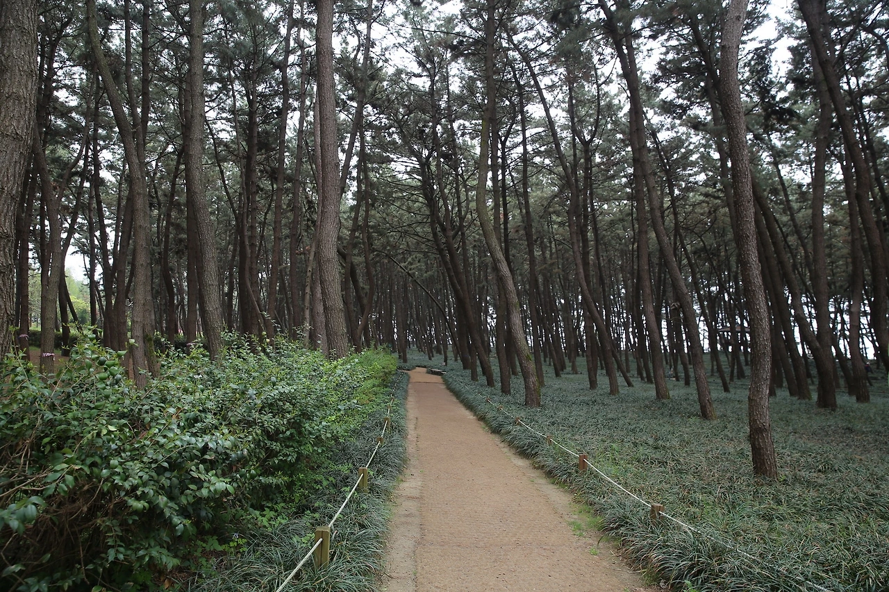 MG0A0539_новый размер.JPG