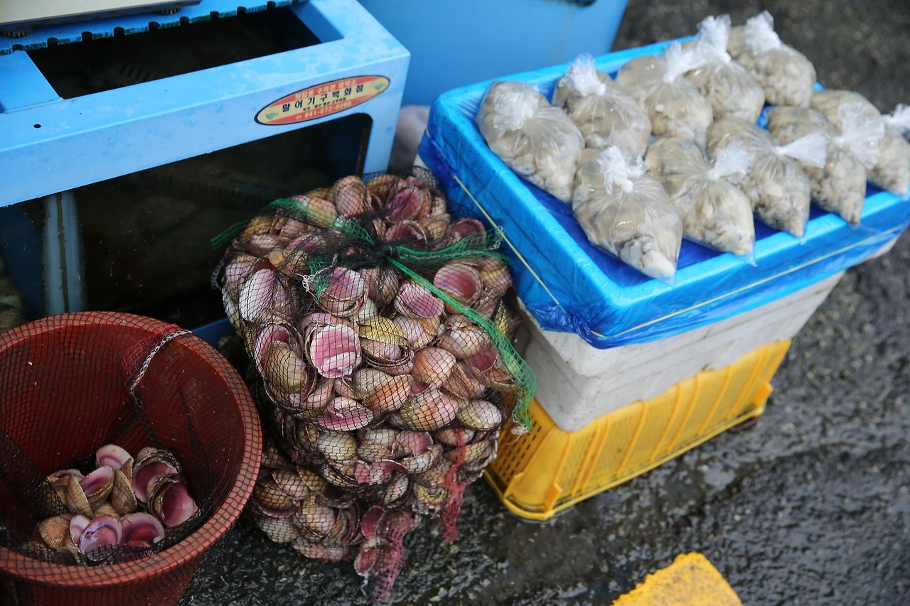 MG0A0878_новый размер.JPG