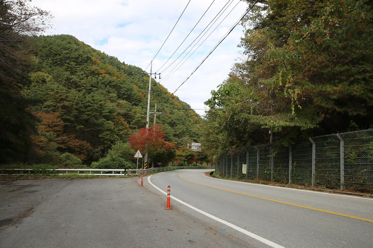 MG0A7815_новый размер.JPG