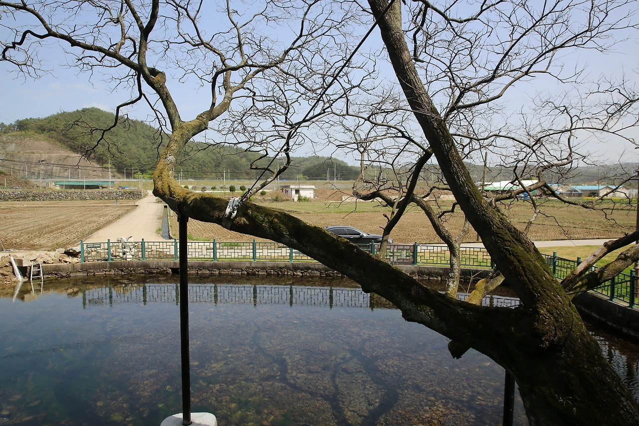 MG0A9758_новый размер.JPG