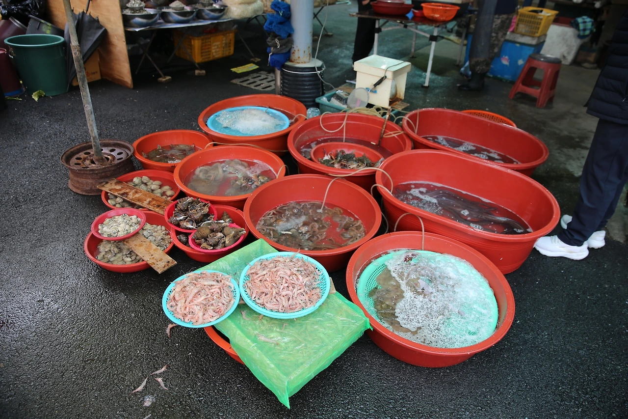 MG0A0434_новый размер.JPG