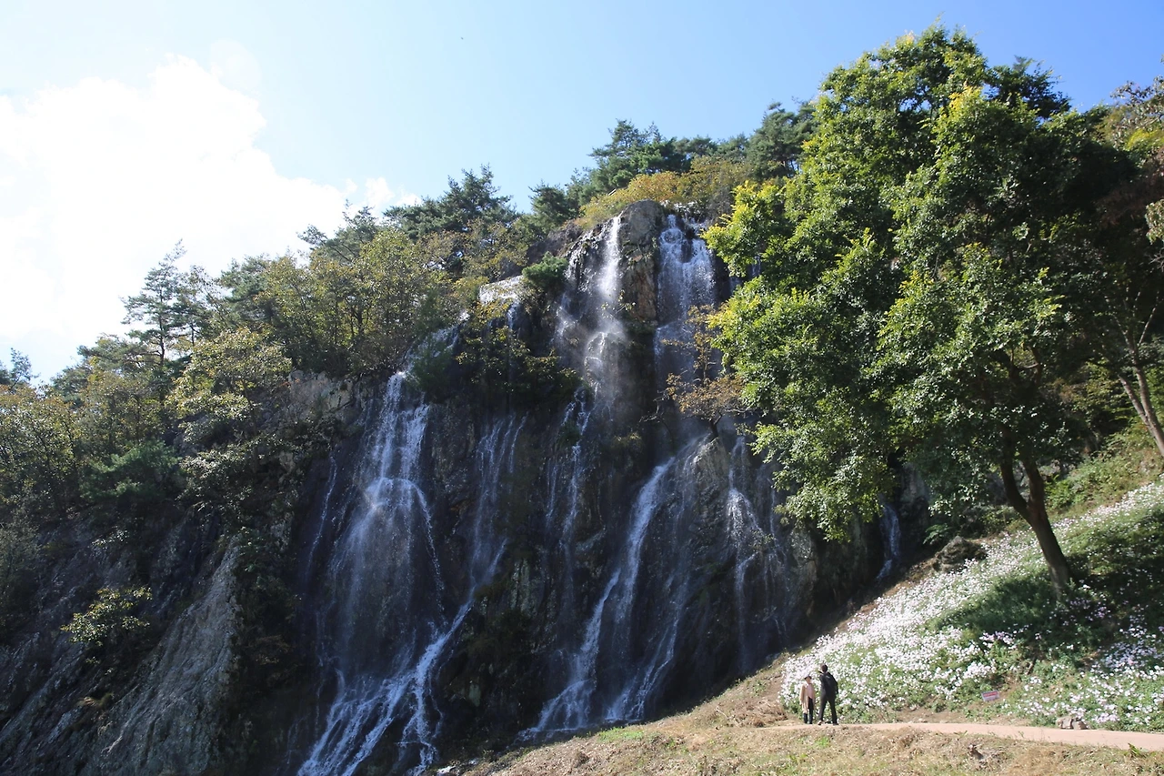 MG0A6204_новый размер.JPG