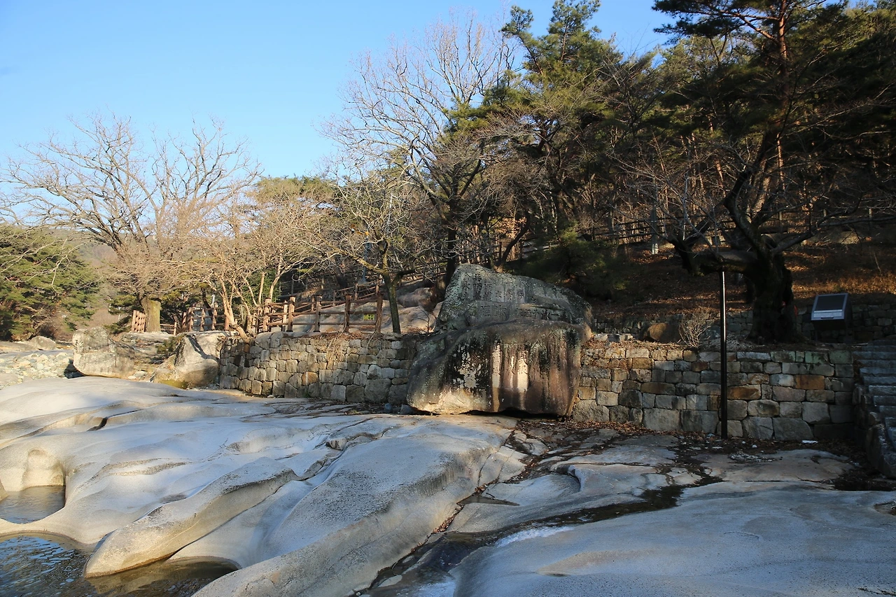 MG0A7646_новый размер.JPG