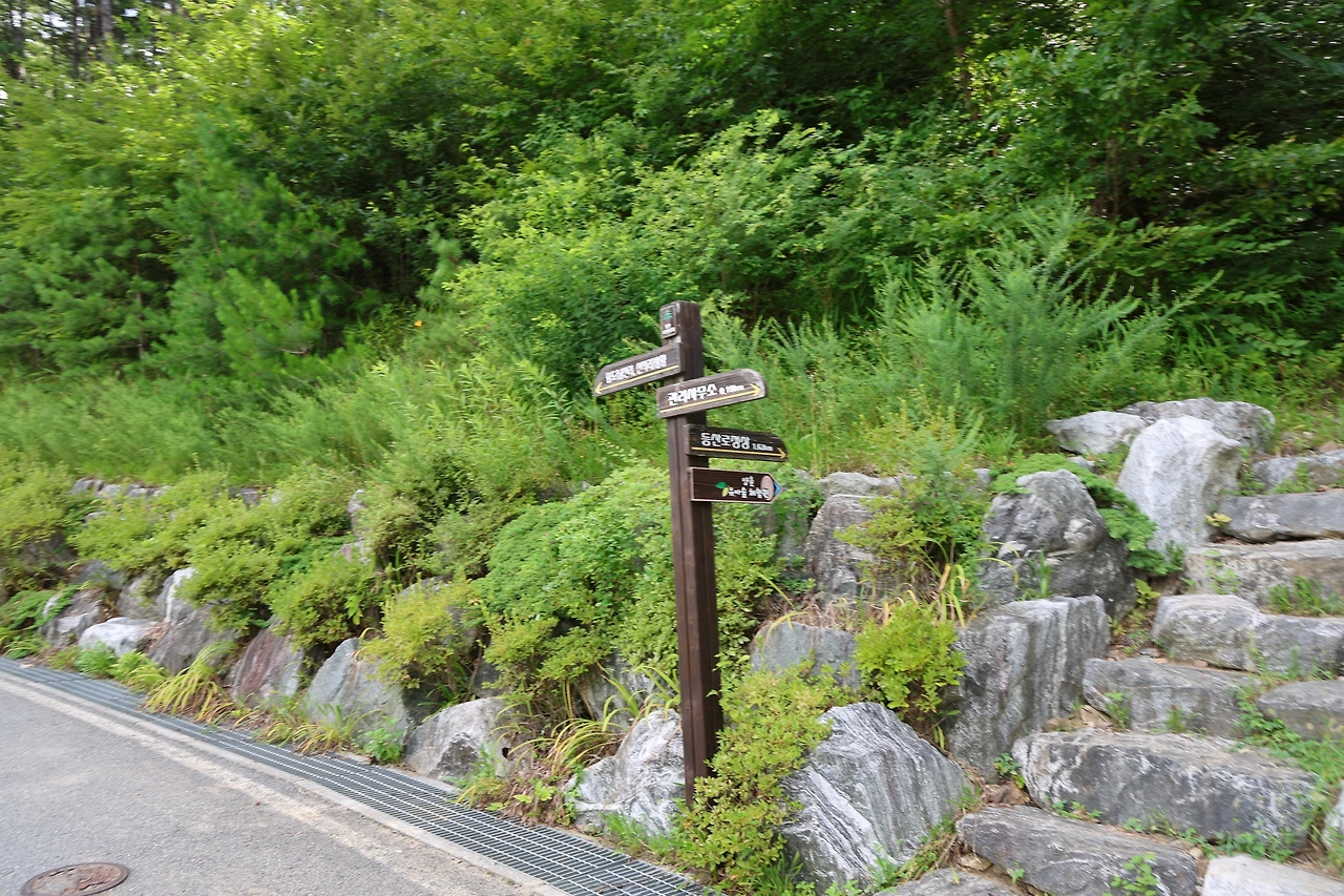 0R5A0192_новый размер.JPG