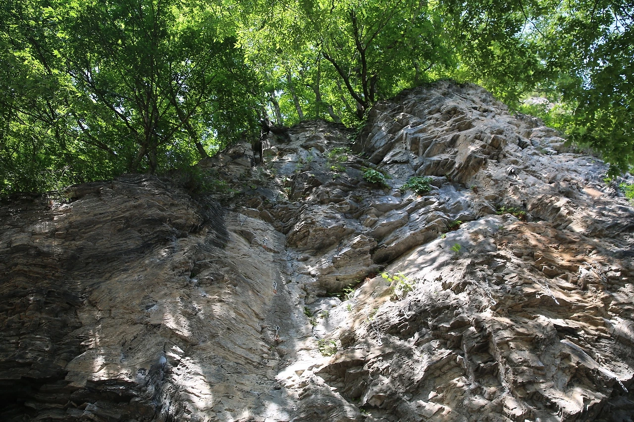 MG0A2239_новый размер.JPG