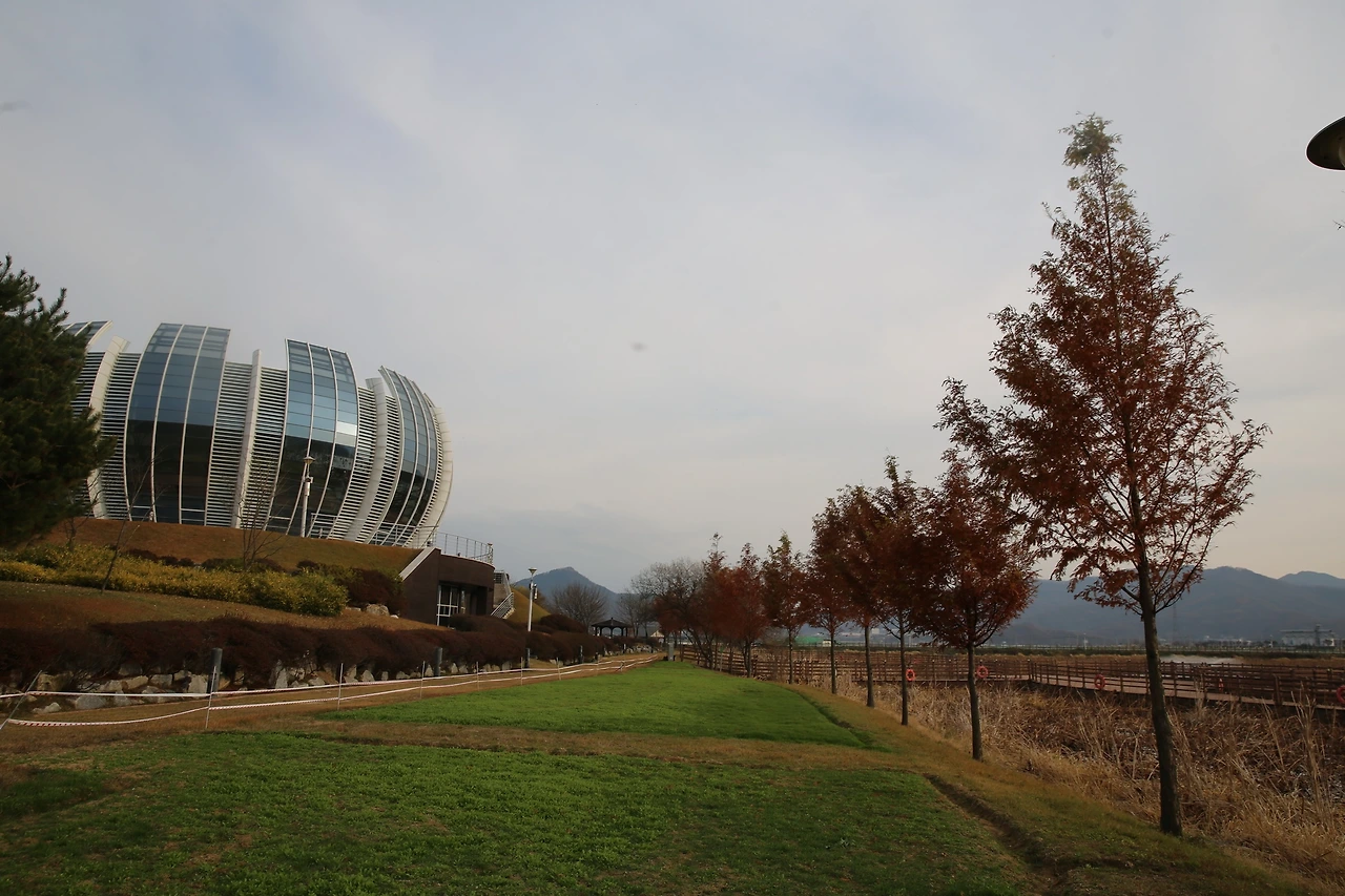 MG0A1794_новый размер.JPG