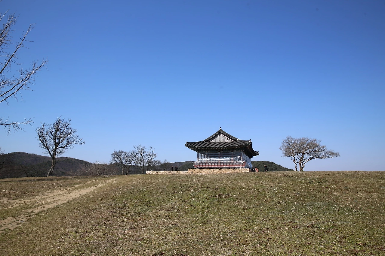 MG0A3374_новый размер.JPG