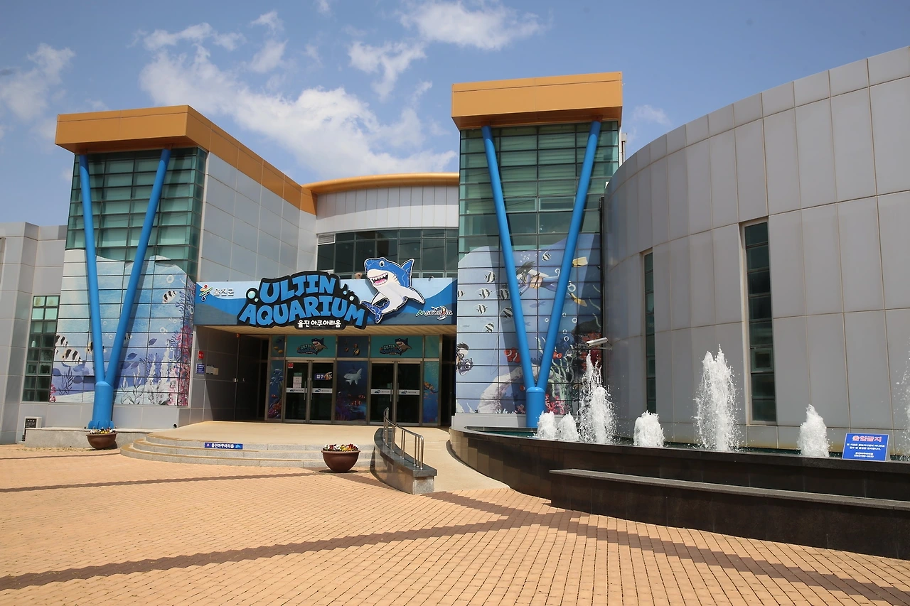 MG0A9662_новый размер.JPG