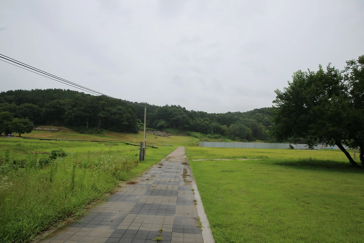 MG0A6021_новый размер.JPG