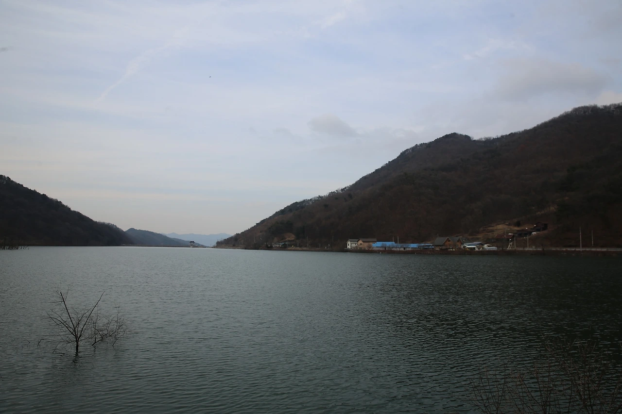 MG0A1585_новый размер.JPG