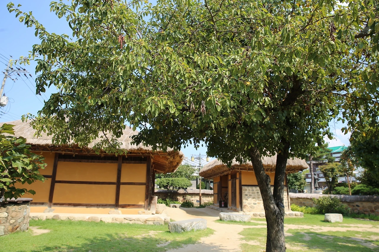 MG0A1504_новый размер.JPG