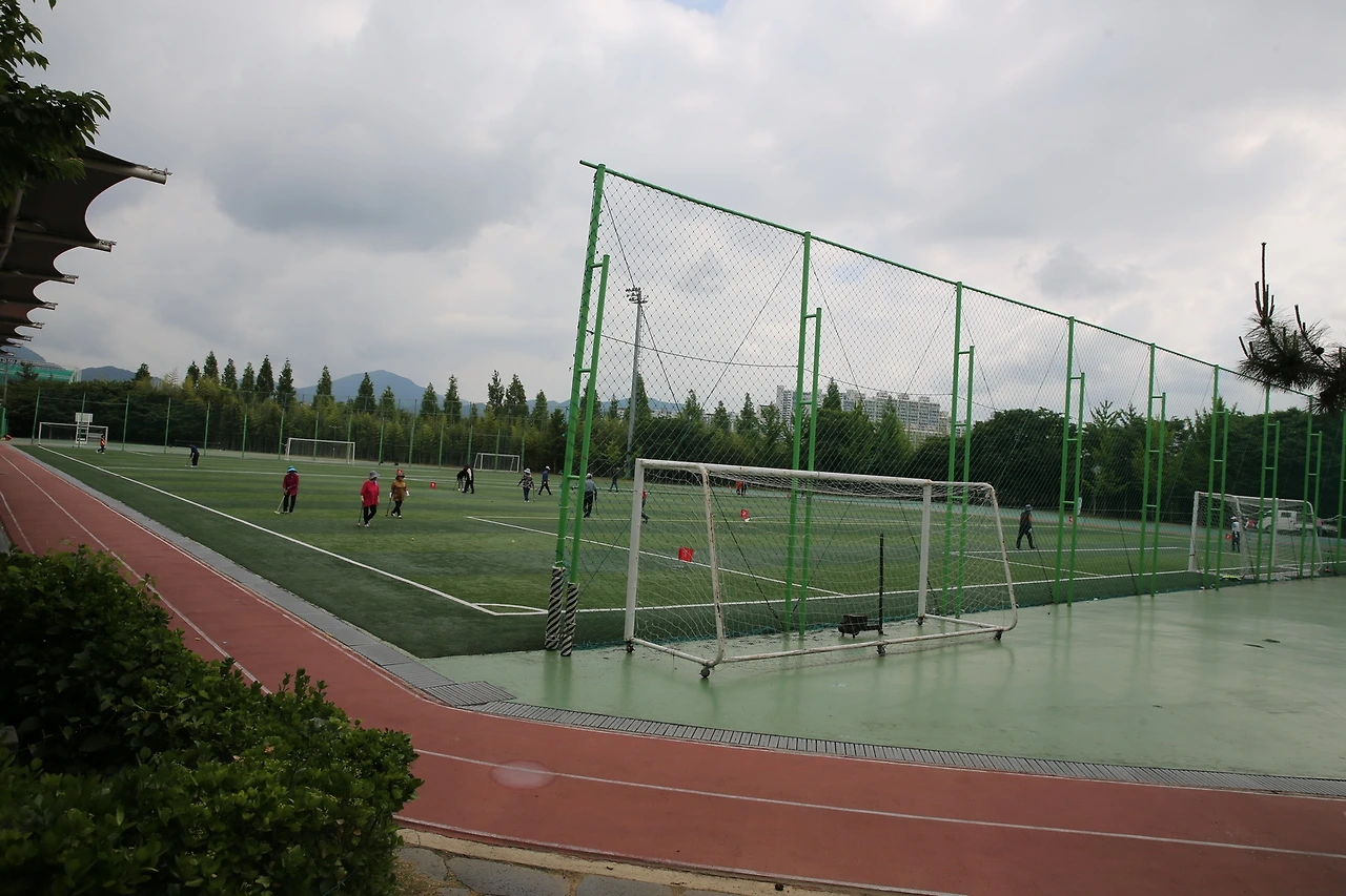 MG0A5666_новый размер.JPG