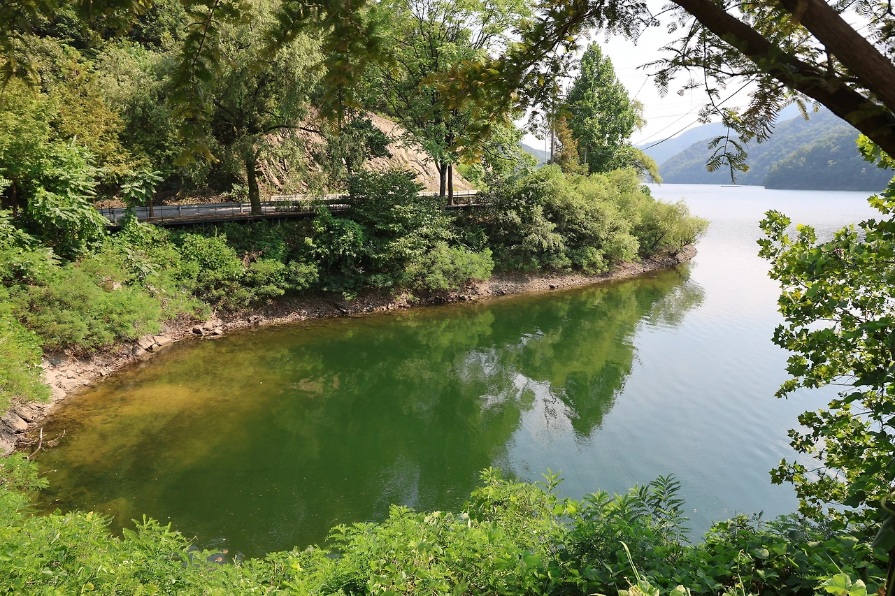 0R5A0364_новый размер.JPG