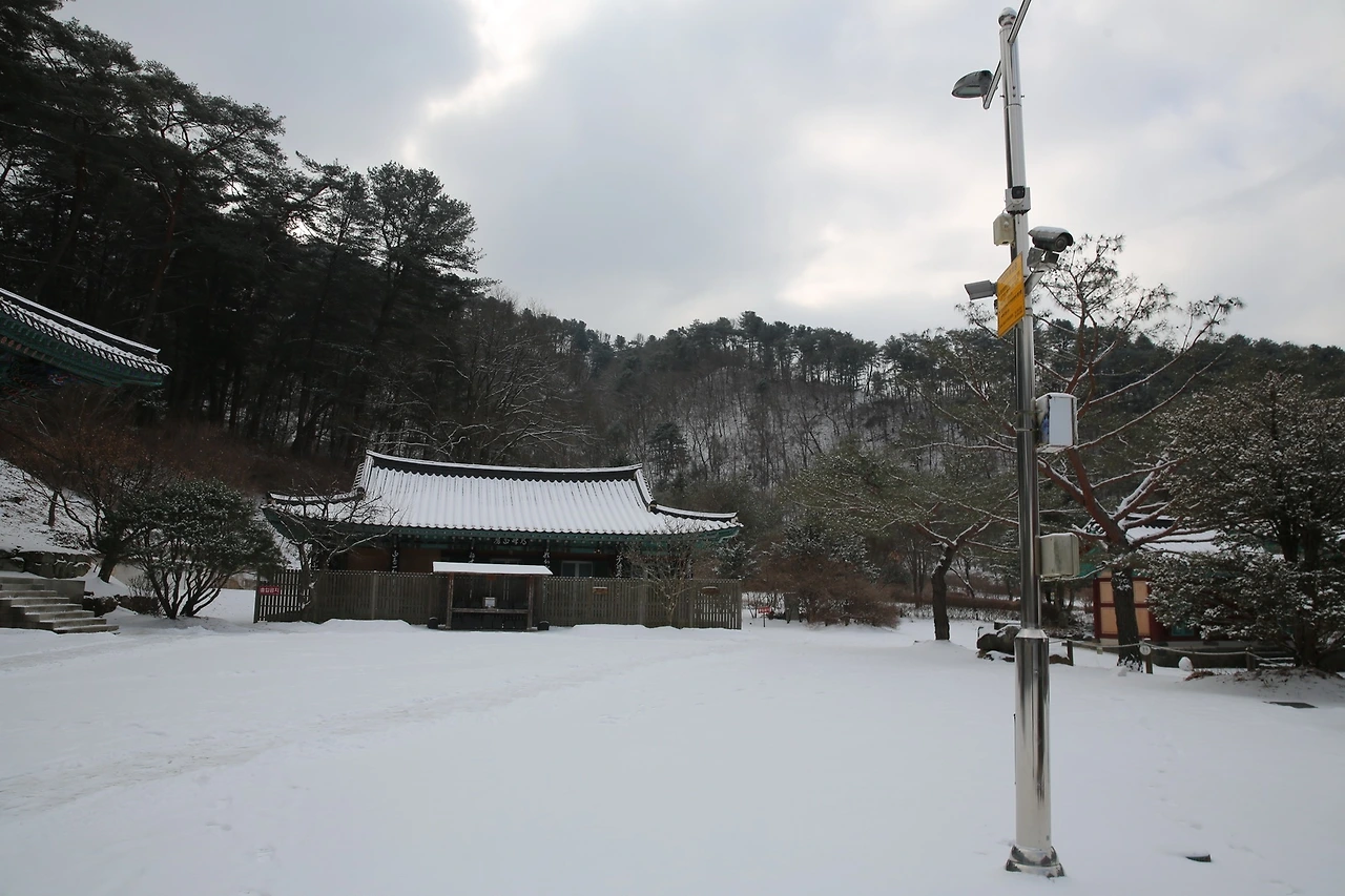 MG0A6344_новый размер.JPG