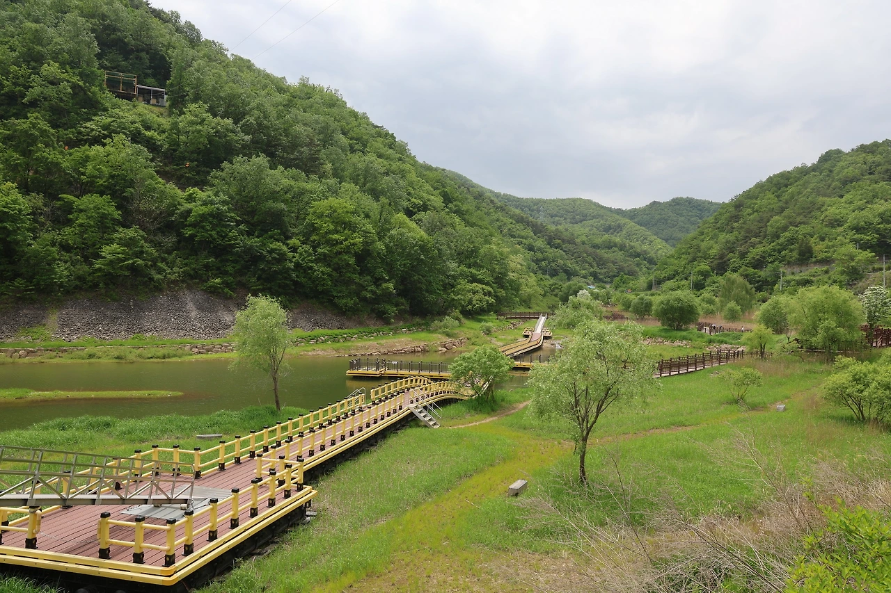 0R5A1117_новый размер.JPG