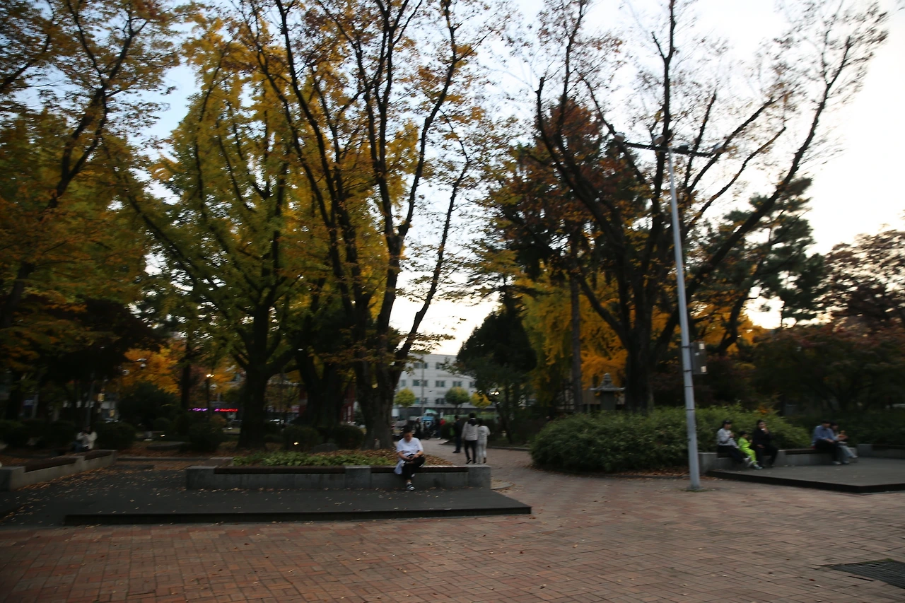 MG0A9775_новый размер.JPG