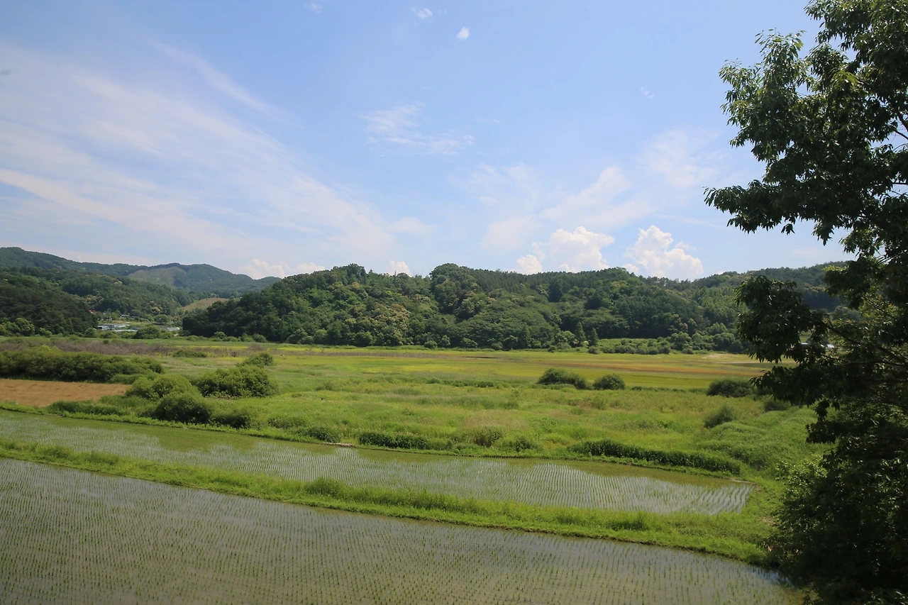 MG0A2165_новый размер.JPG