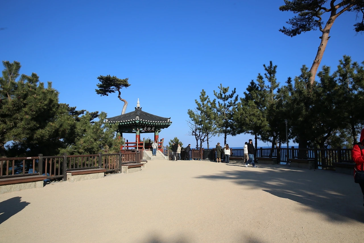 MG0A6537_новый размер.JPG