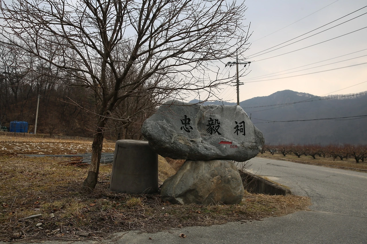 MG0A9755_новый размер.JPG